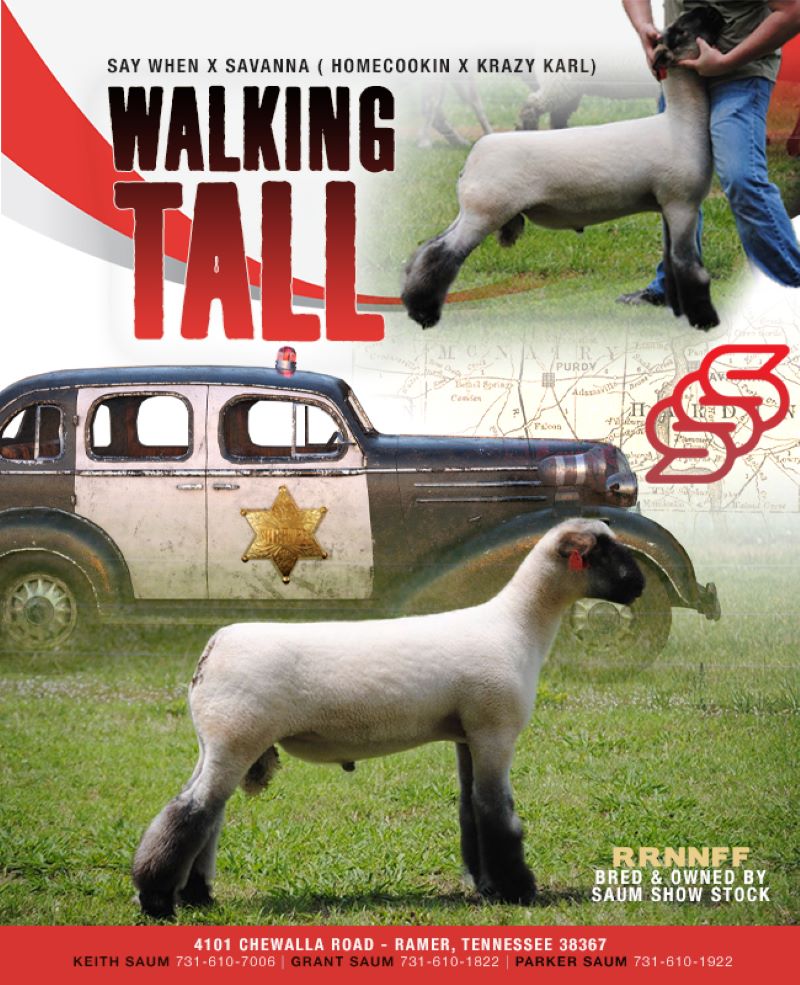Walking Tall Reproduction Specialty Group Walking Tall Reproduction Specialty Group