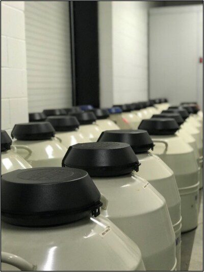 SEMEN FLUID PRODUCTION STORAGE COMPOSITION visual data 4