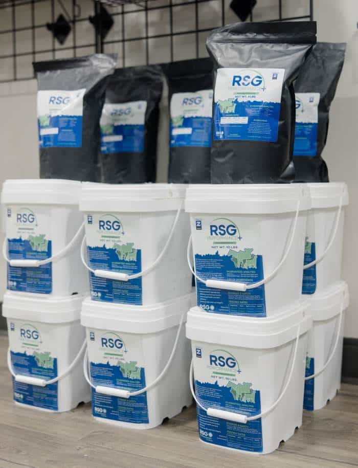RSG Performance+