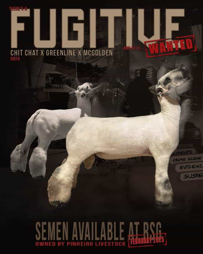 Fugitive