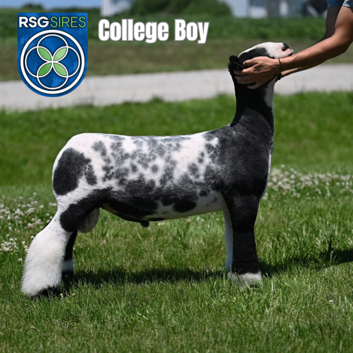 College Boy