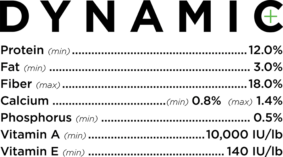 25Umbarger_Website_DynamicAnalysis-2