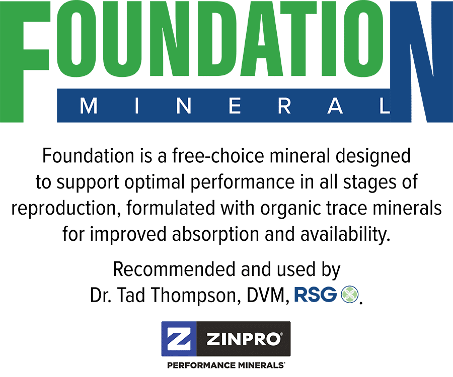 25Umbarger_Website_FoundationLogoBlock