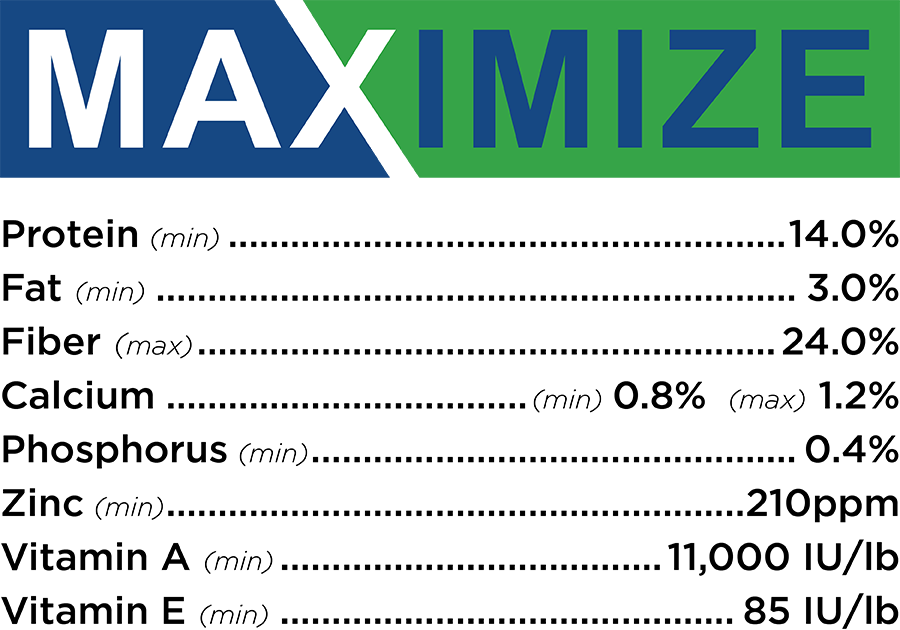 25Umbarger_Website_MaxmizeAnalysis