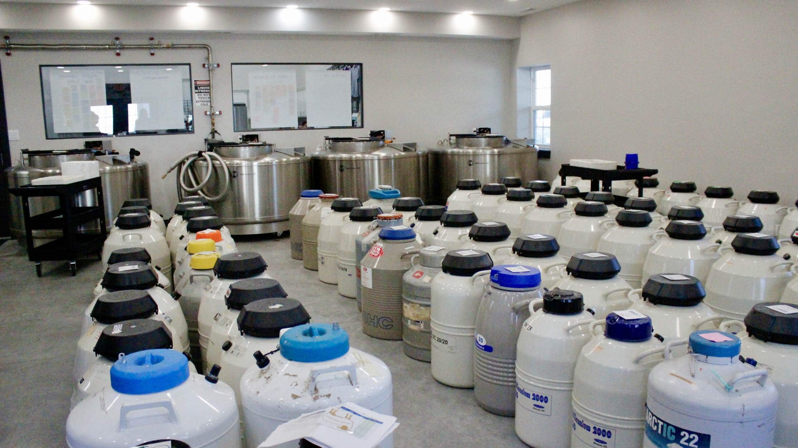 Semen and Embryo Storage Shipping Semen and Embryos