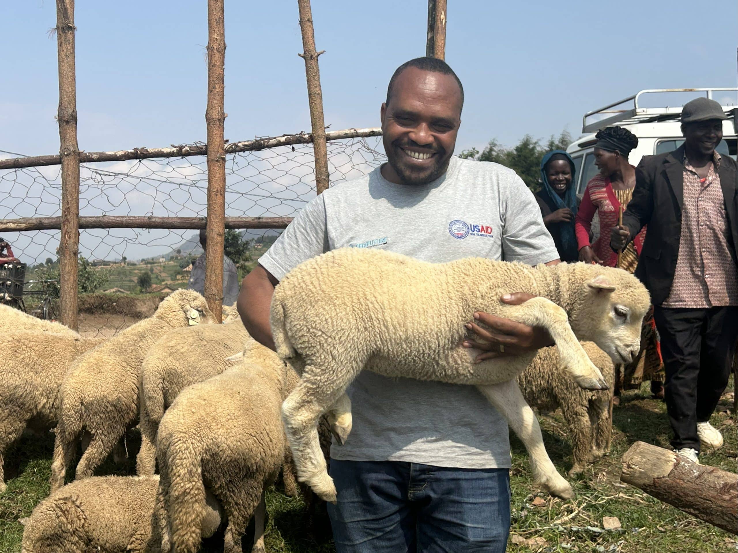 hand spun image lamb